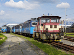 704011d.jpg