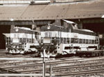 730623h.jpg