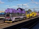 730624d.jpg