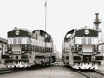730634b.jpg