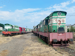 T6691046a.jpg