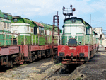 T6691055a.jpg