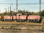 MUS_26Em583a.jpg