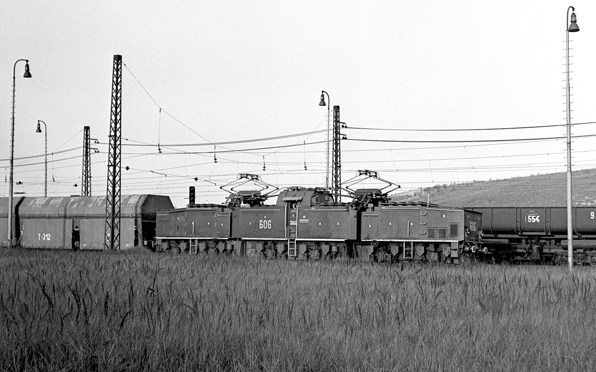 [1200x750] MUS_26Em606b.jpg