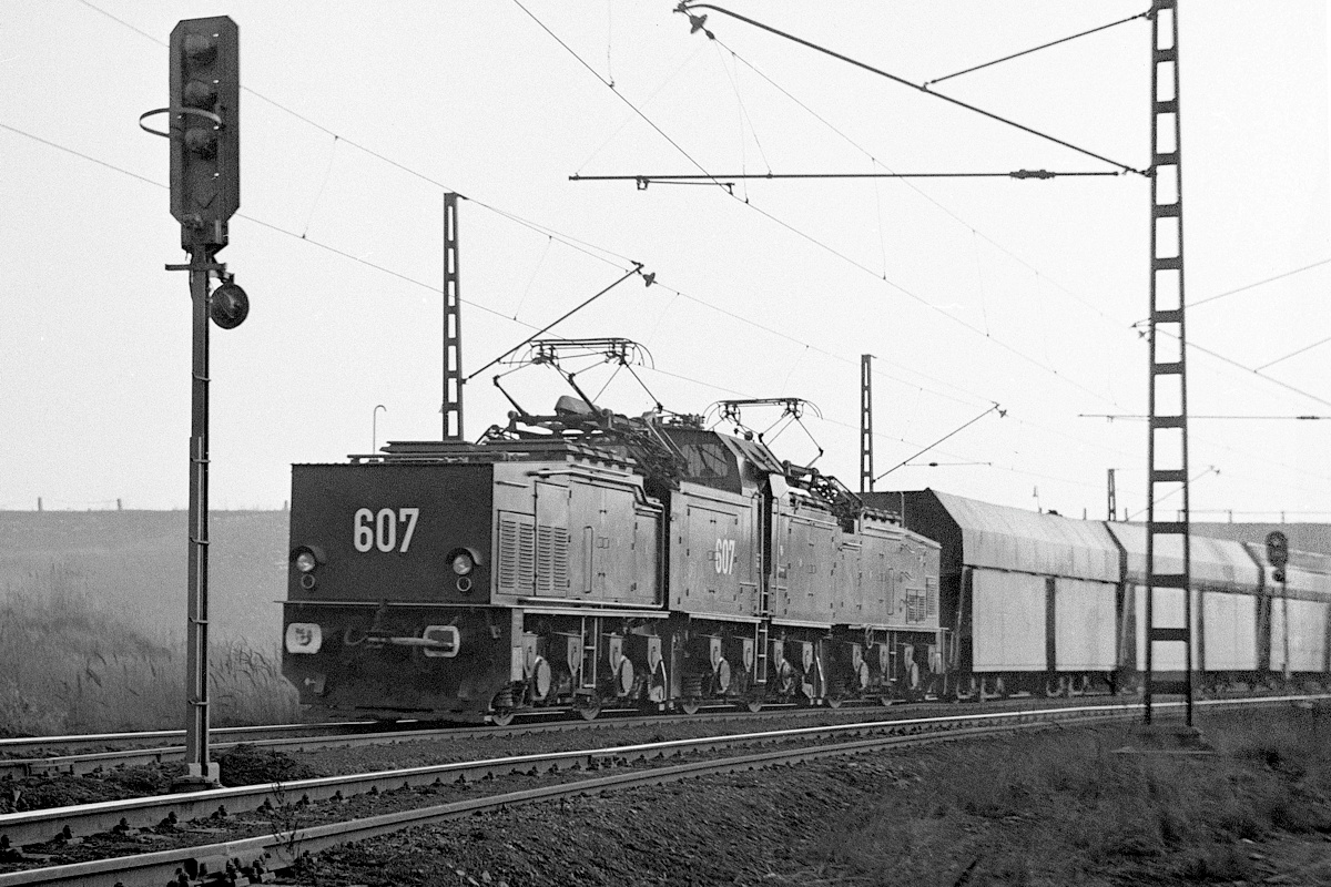 [1200x800] MUS_26Em607a.jpg