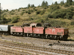 MUS_26Em629a.jpg