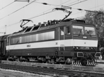 363005d.jpg