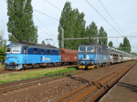 363037i.jpg