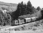725084a.jpg