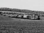 725210c.jpg