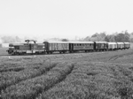 725210d.jpg