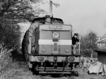 726046a.jpg