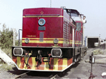 726562g.jpg