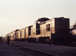 735203b.jpg