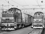 735214c.jpg