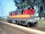 770004c.jpg
