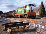 770016e.jpg