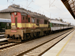 770022a.jpg