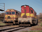 770029a.jpg
