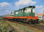 770031b.jpg