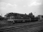 770041a.jpg