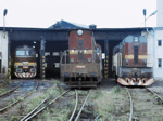 770041d.jpg