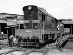 770057a.jpg