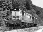 770060a.jpg