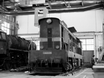 770096a.jpg