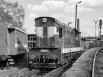 770524a.jpg