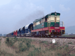 770611e.jpg
