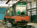 T6695501b.jpg