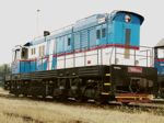 T6695502a.jpg