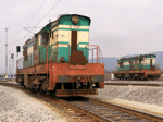 771072c.jpg