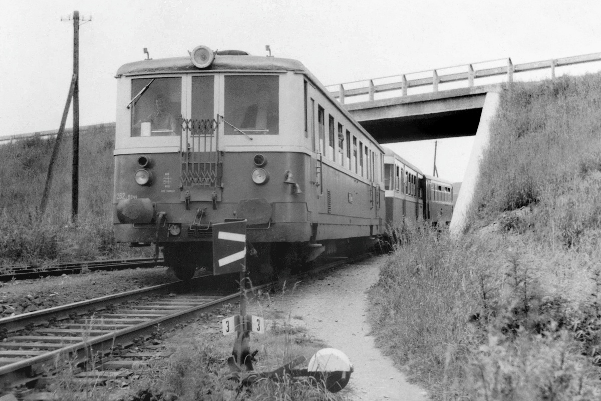 [1200x800] 830044b.jpg