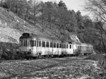 850049j.jpg